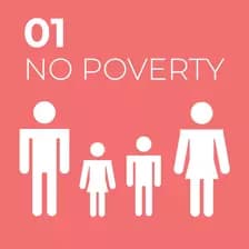 sdg-1